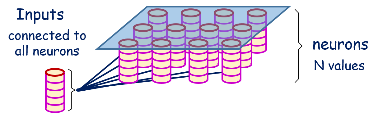 Image shows neurons with N values, and N value input connected to each neuron