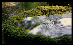 Honen-In, Kyoto