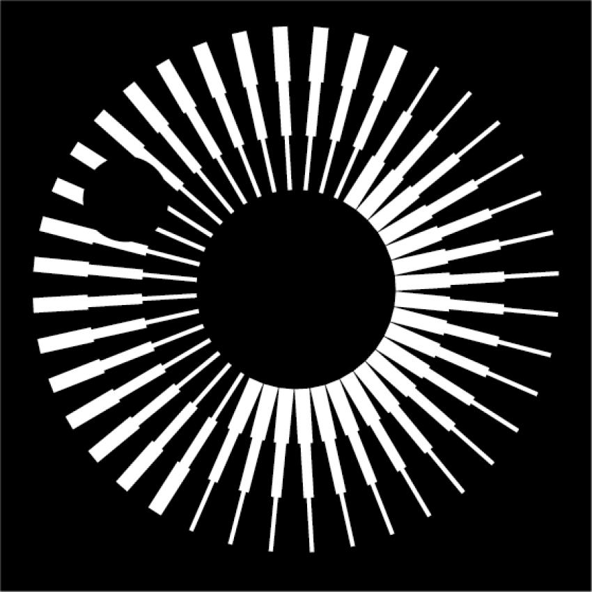 RAS logo Medal