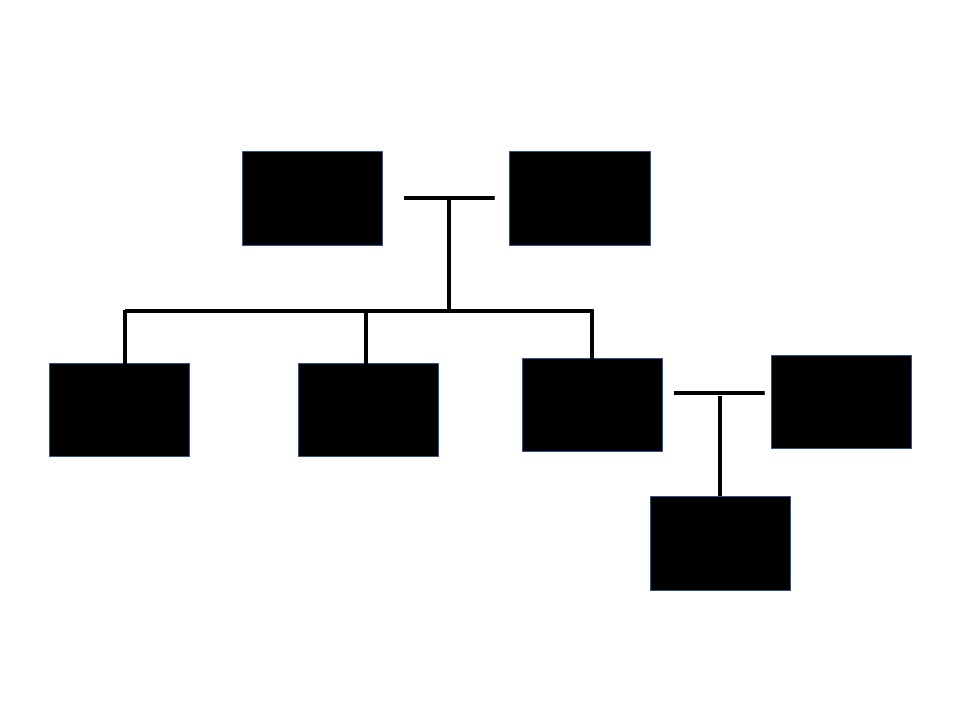 family tree